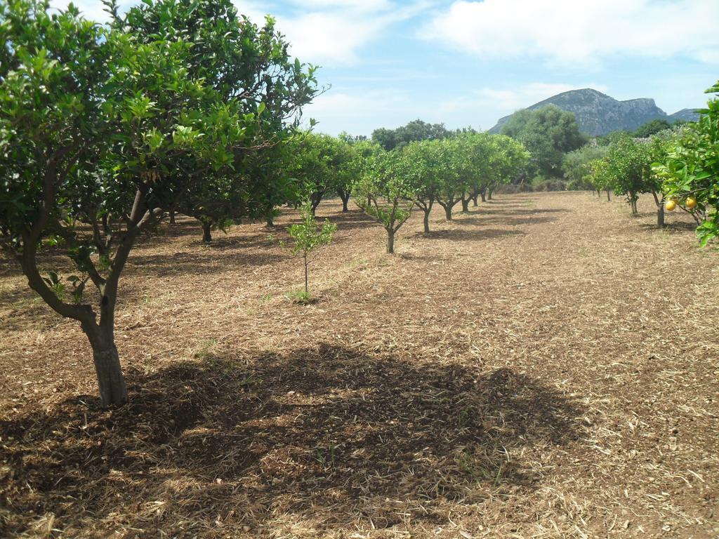 Residenza Rosa Maria Country House Orosei Δωμάτιο φωτογραφία