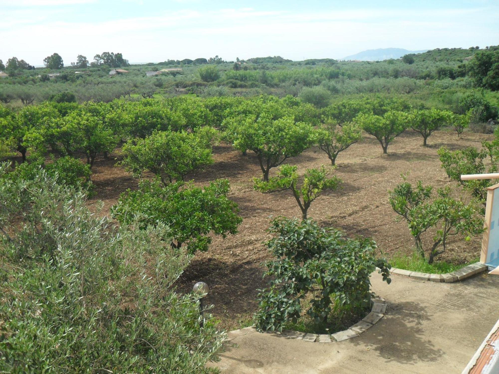 Residenza Rosa Maria Country House Orosei Εξωτερικό φωτογραφία