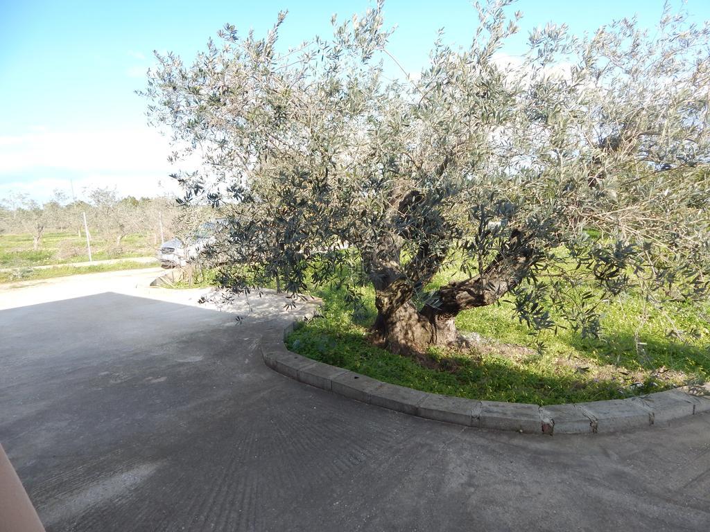 Residenza Rosa Maria Country House Orosei Δωμάτιο φωτογραφία
